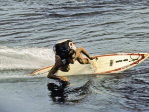 Tom Curren