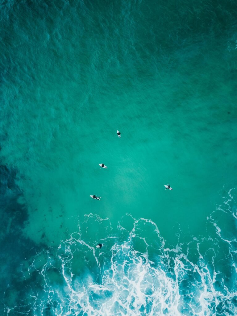 Surfers Environmental Awareness